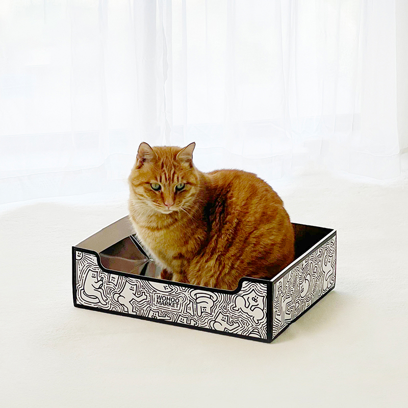 Disposable cat litter box