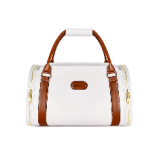 Travel Carrier