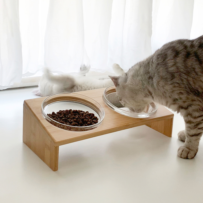 Empty Bowl