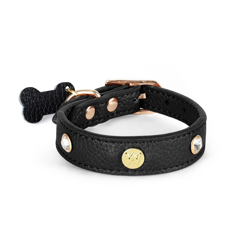 Leash